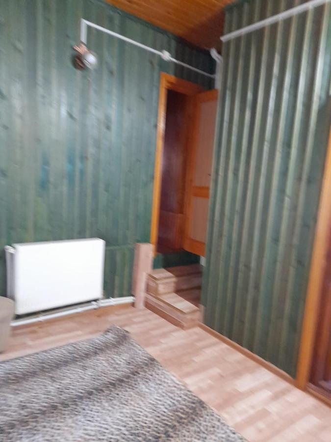 Hotel Barlogul Ursilor Lepşa Exteriér fotografie