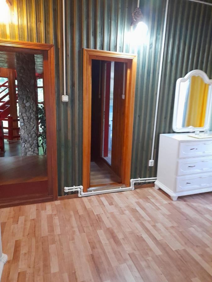 Hotel Barlogul Ursilor Lepşa Exteriér fotografie