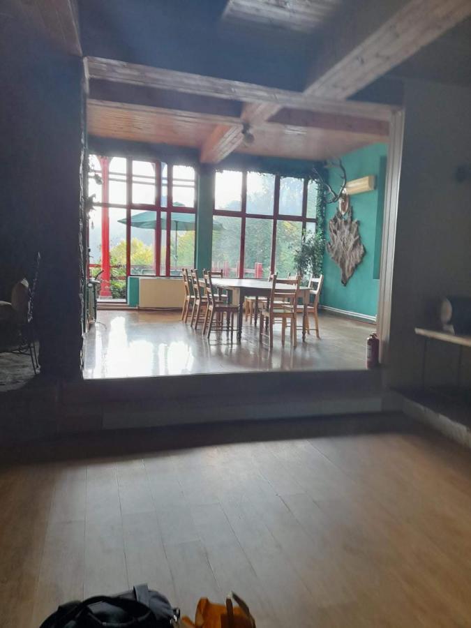 Hotel Barlogul Ursilor Lepşa Exteriér fotografie