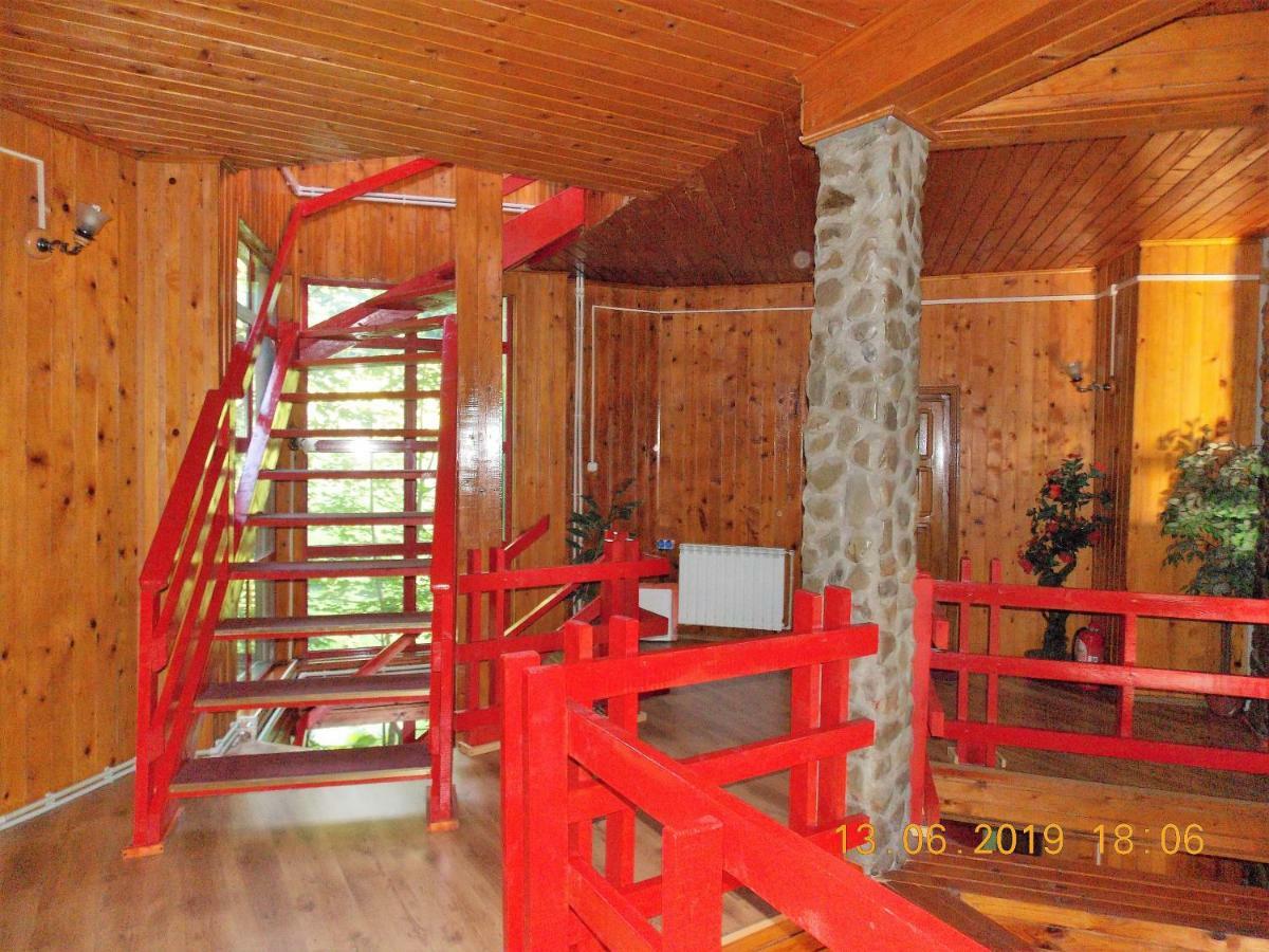 Hotel Barlogul Ursilor Lepşa Exteriér fotografie